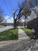 IMG_6098.jpeg