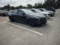 IMG_3215.jpeg