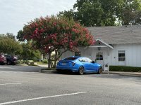 IMG_4295.jpeg