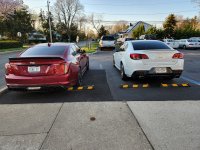 Cars.jpg