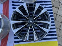 IMG_6402.jpeg