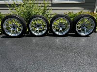 IMG_2487.jpeg