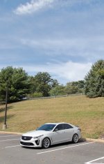 IMG_8852.jpeg