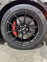 IMG_2076_Original.jpeg