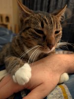 PXL_20260211_013749680.jpg PXL_20260211_013749680.jpg