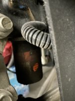 IMG_3215.jpeg