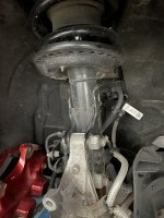 IMG_3216.jpeg