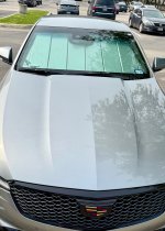 IMG_2386.jpeg
