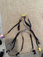 IMG_8954.jpeg