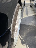 IMG_0342.jpeg