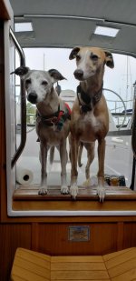 sevi and jasper.jpg
