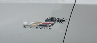 20220611_170942.jpg