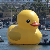 rubberduck