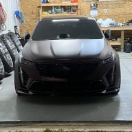 AdamP2985
